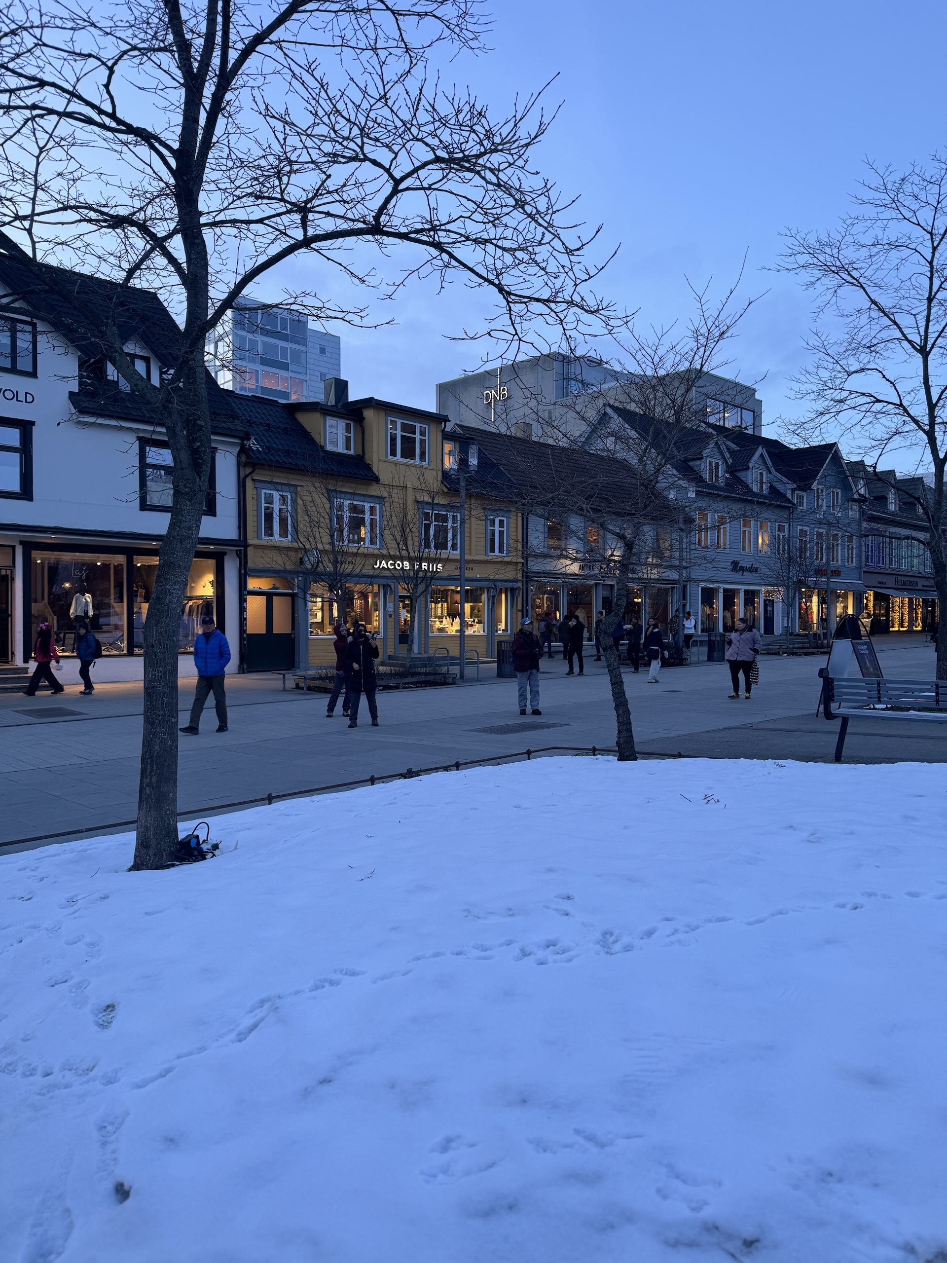 Tromso at blue hour · Tromsø city centre