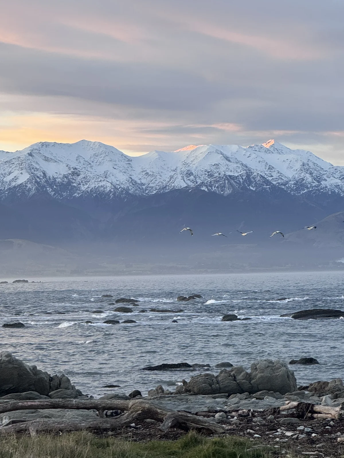 Coastal Beginnings