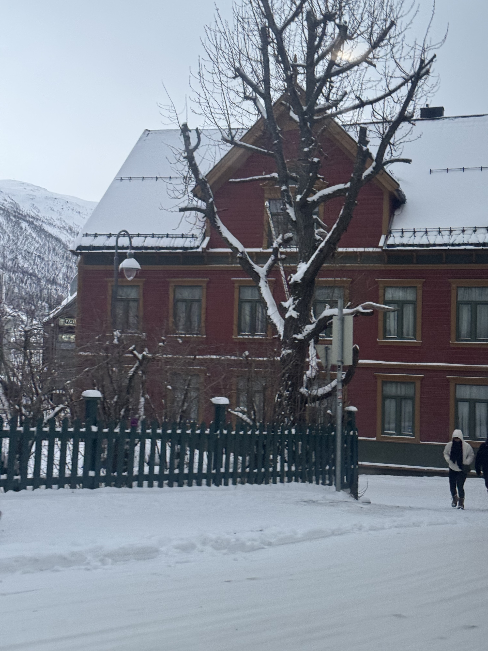 Timber architecture in the snow