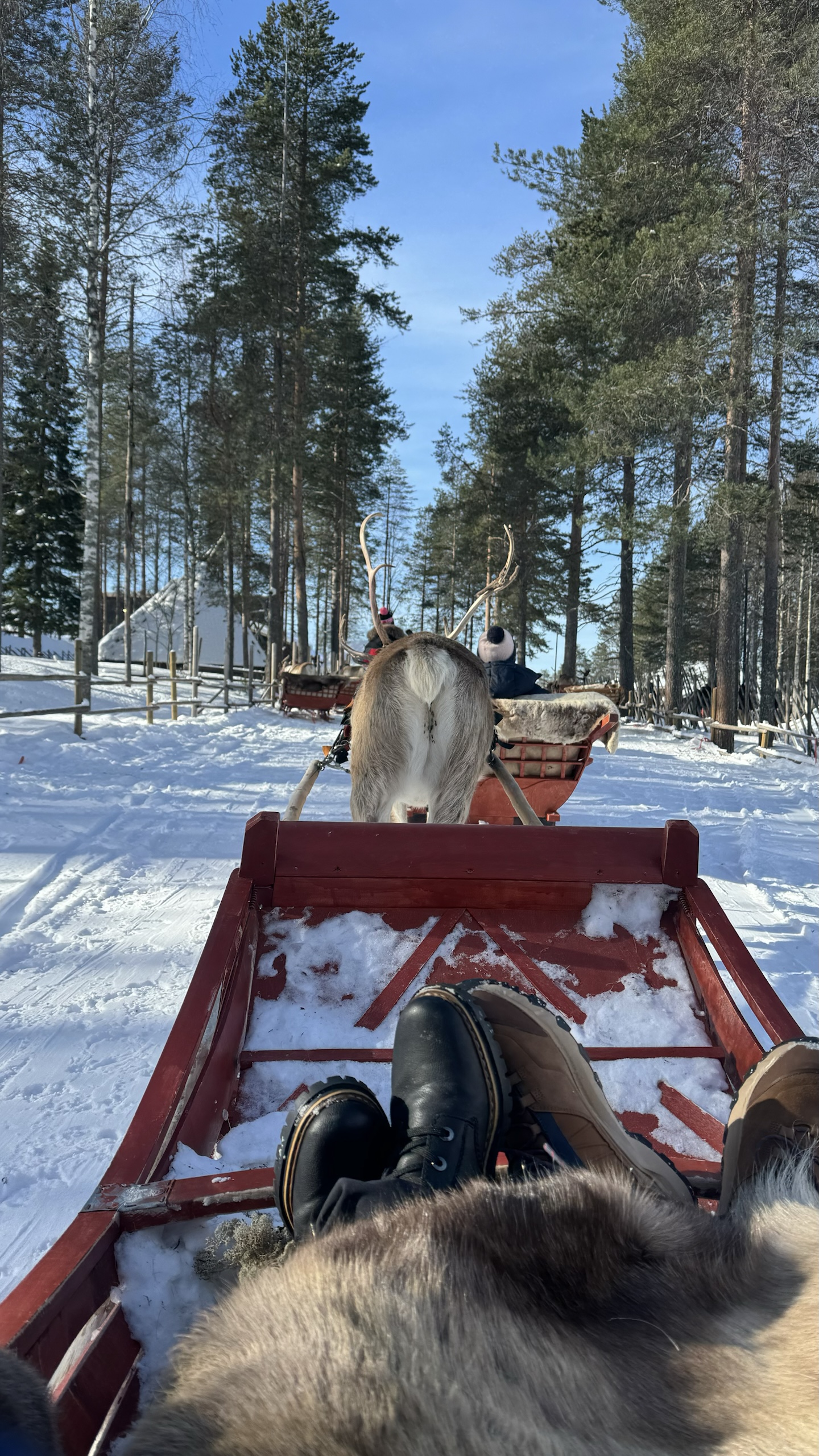 The view from the sleigh