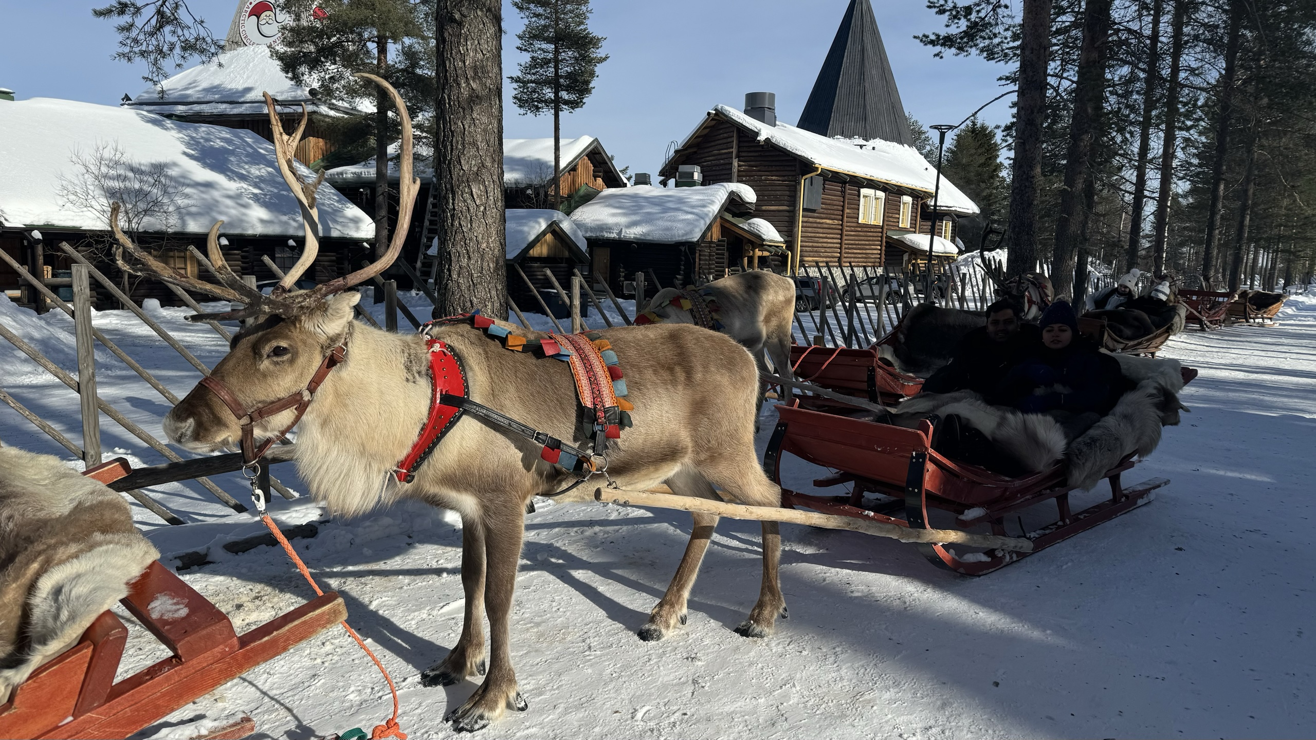 Reindeer sleigh trails