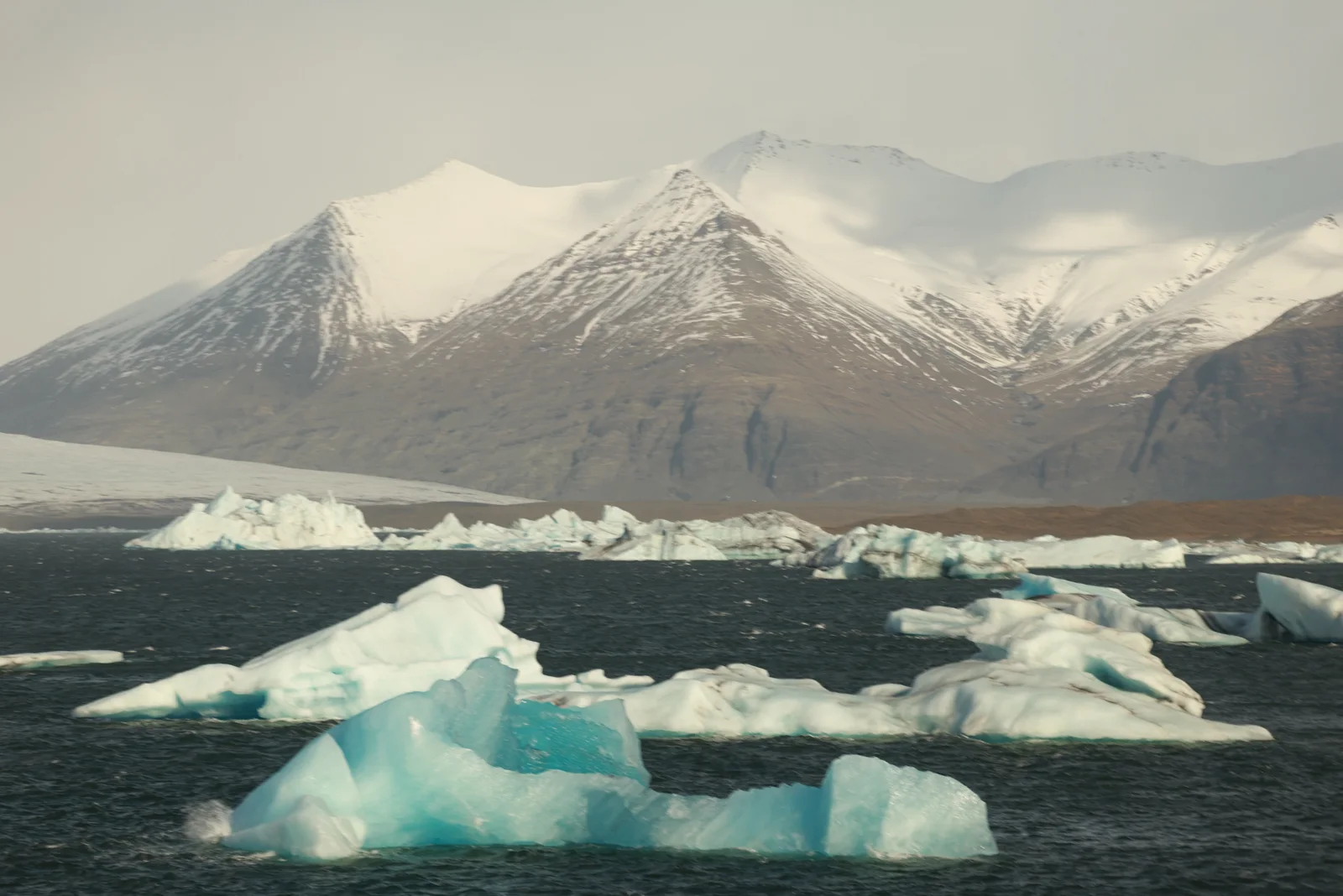 Glacier Lagoon Shore — Blue icebergs in Jökulsárlón lagoon with snow-covered mountains behind them