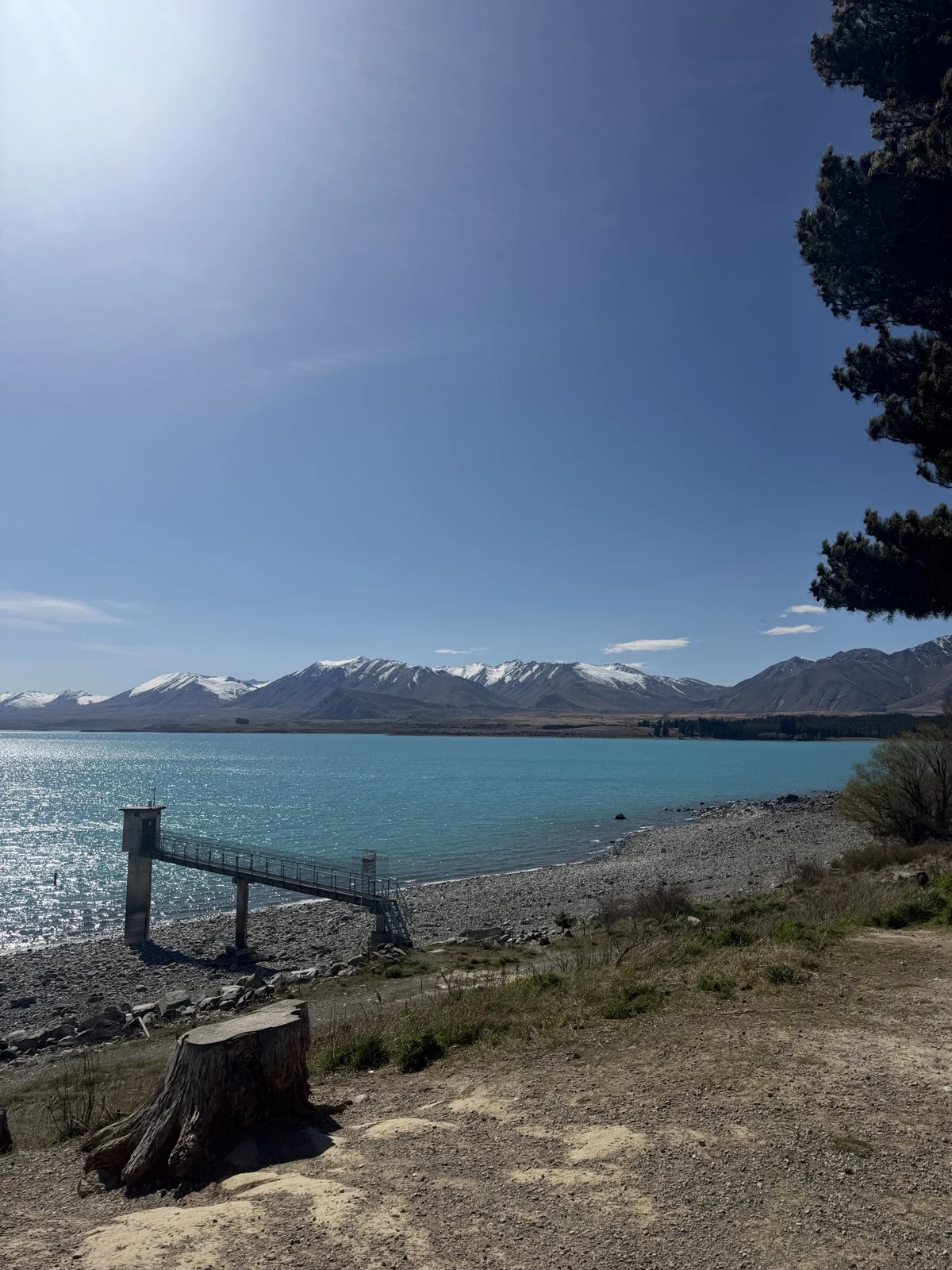 Morning by Lake Tekapo
