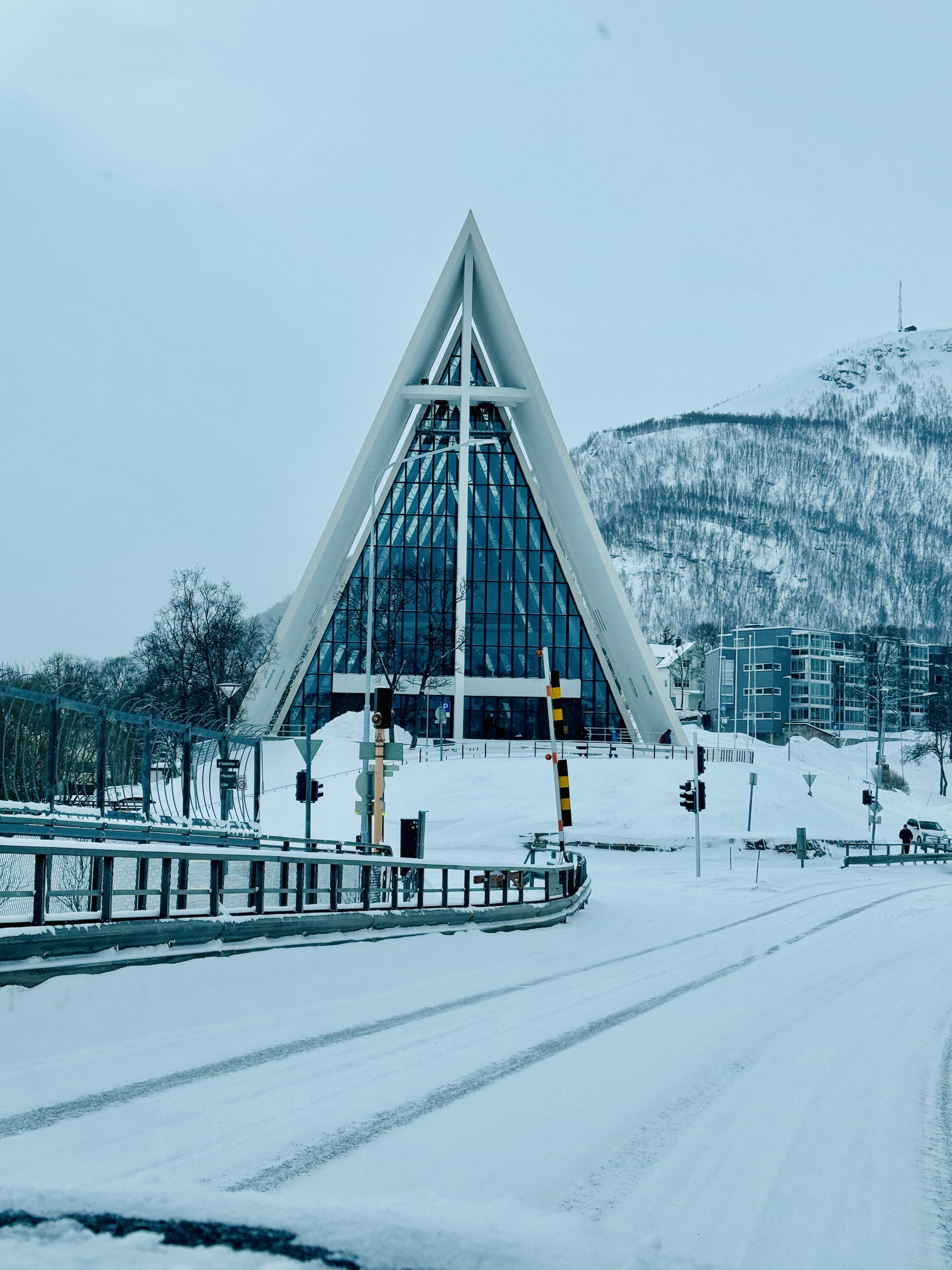 The Arctic Cathedral