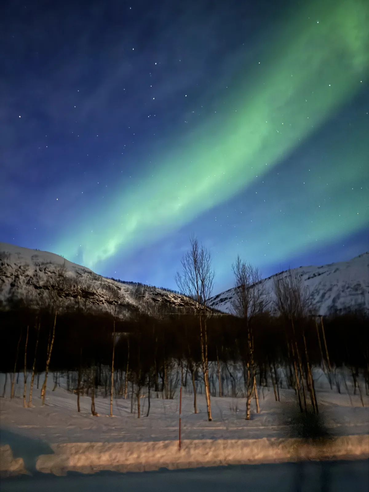 Northern Lights After Dark — Green Northern Lights over trees and snowy hills in the Tromsø region