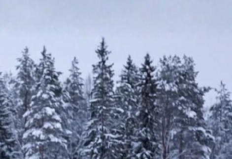 Swedish Lapland winter road & hotel spa