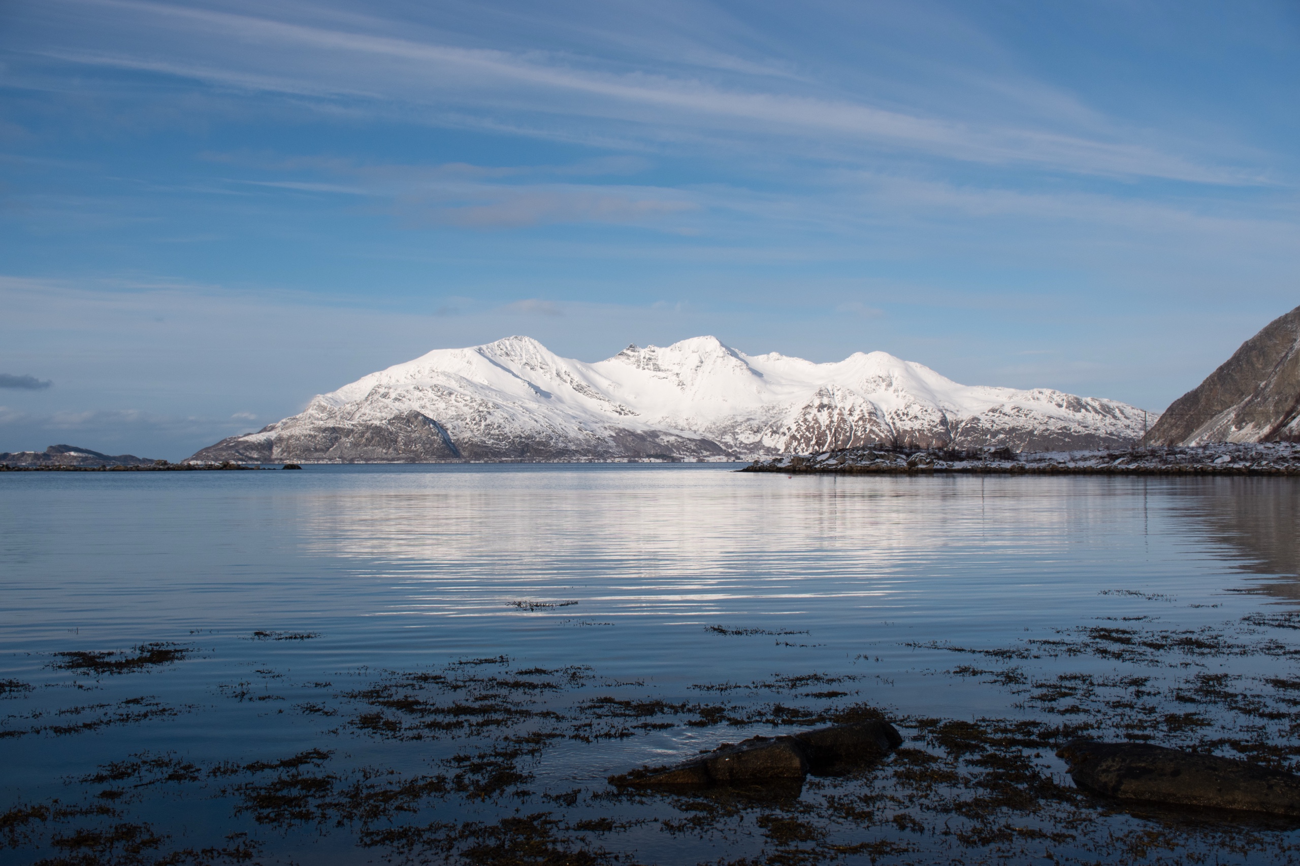 Return to Tromsø & farewell dinner
