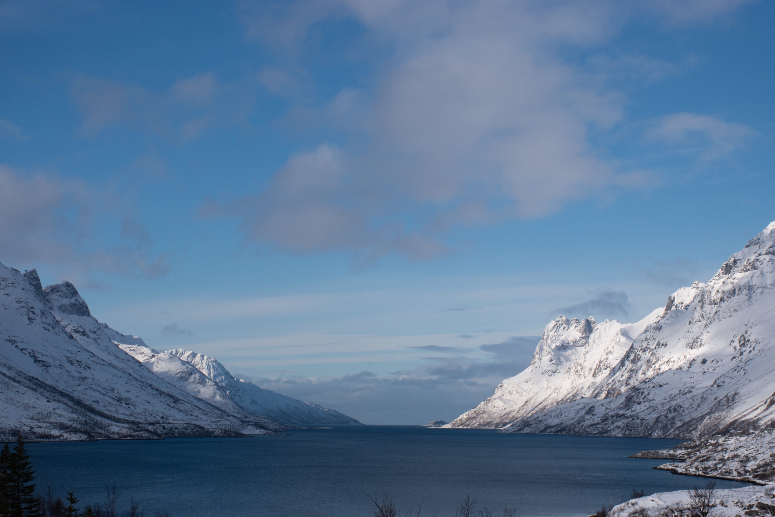 Kvaløya fjords