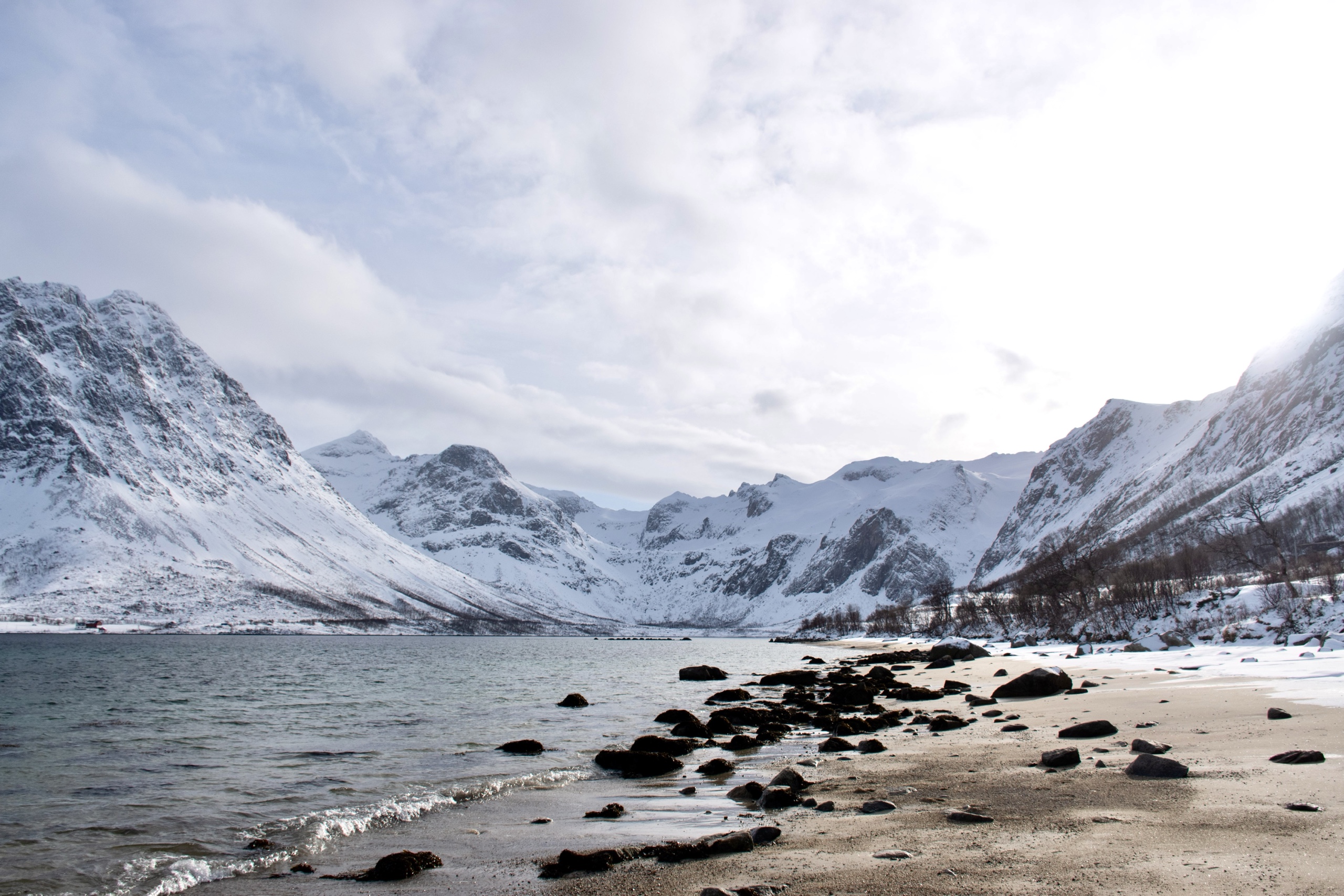 Winter shoreline