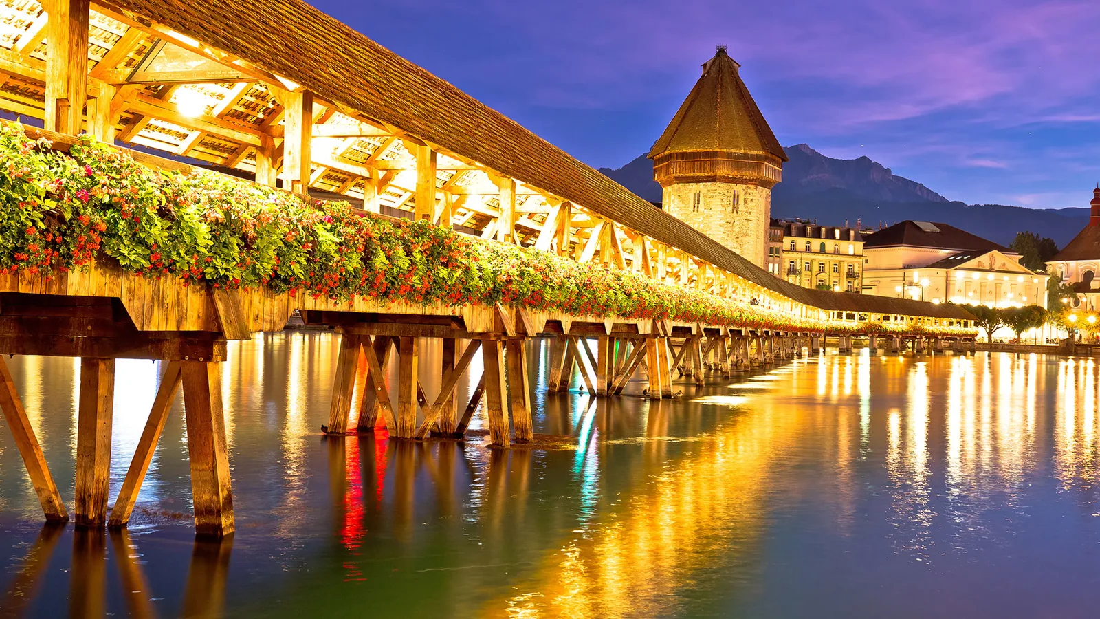 Rhine Falls boat tour